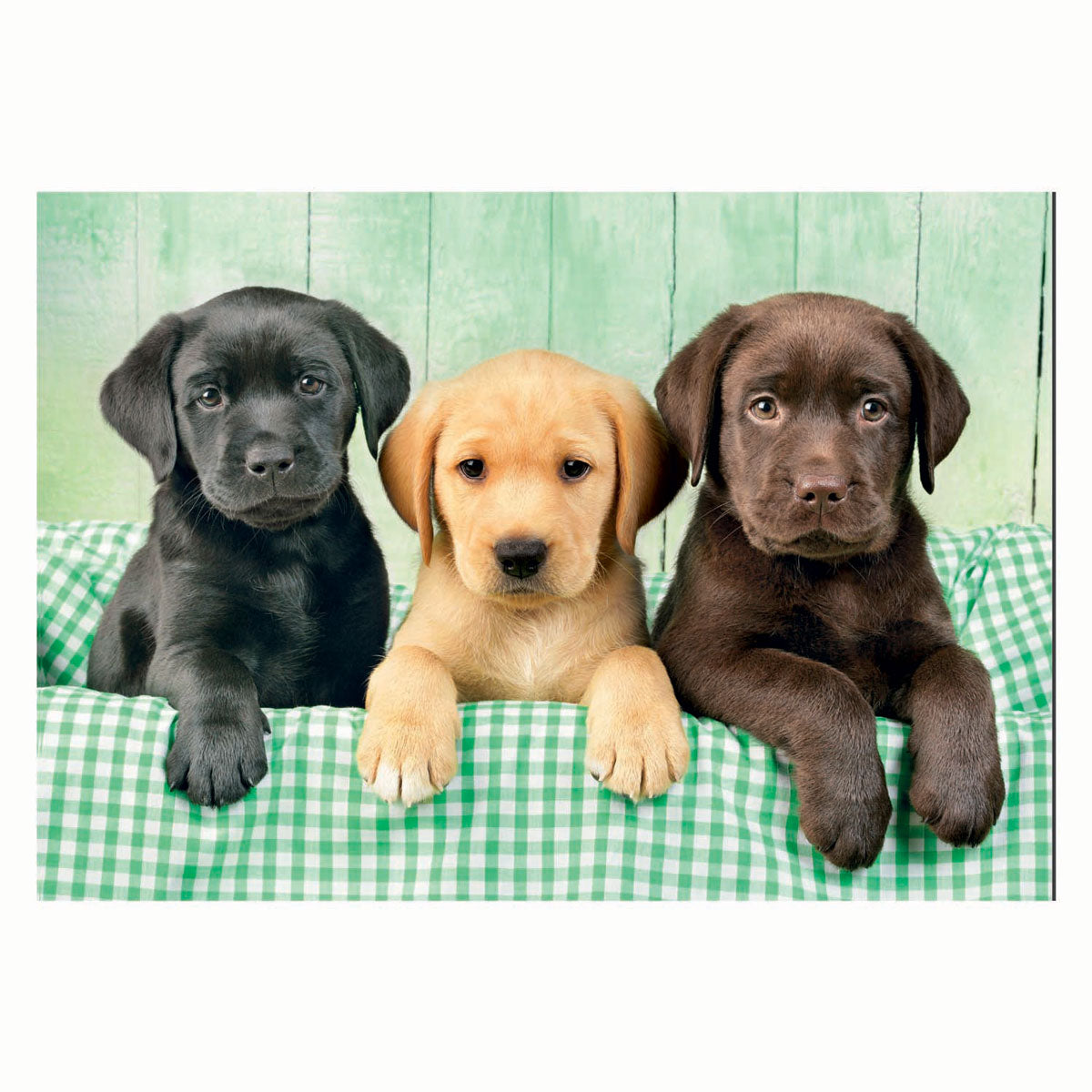 Clementoni Jigsaw Puzzle drei Labore, 1000st.