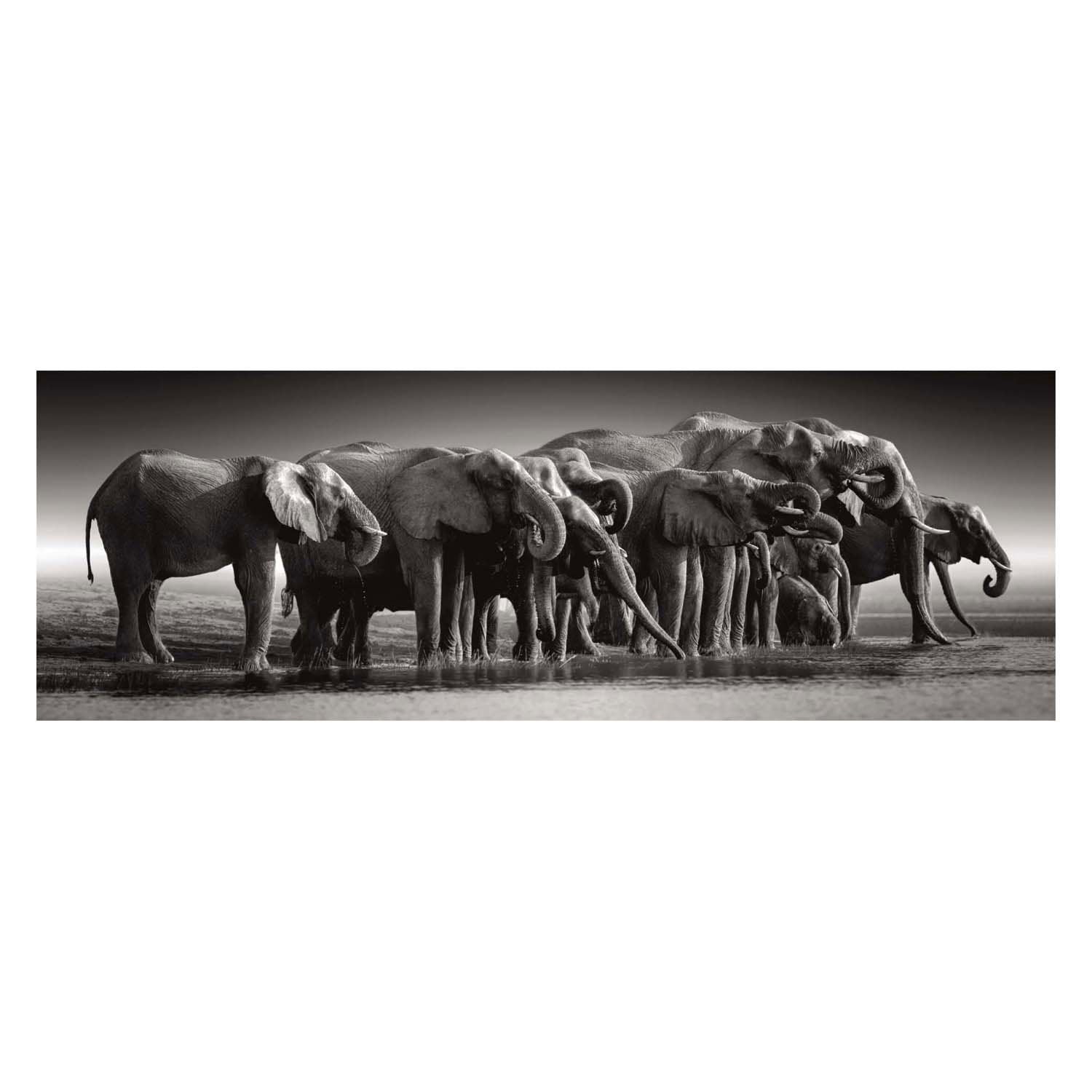 Clementoni Jigsaw Puzzle Herde oder Riesen, 1000st.