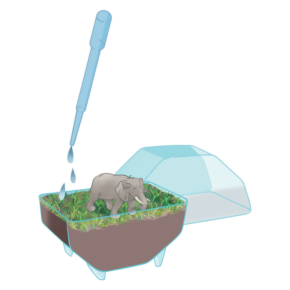 Clementoni Wissenschaftsspiel „My Wild Terrarium – Elefant“.
