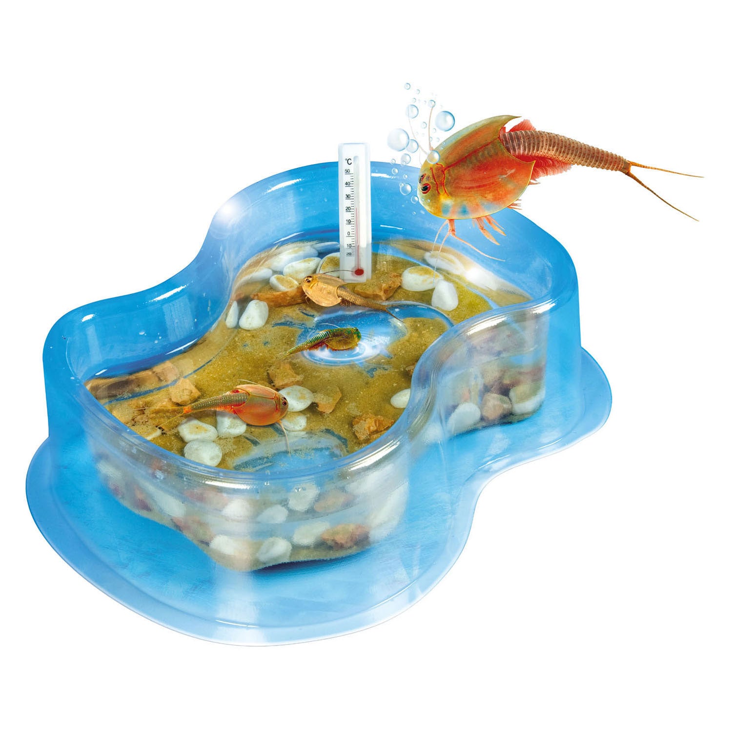 Clementoni-Wissenschaftsspiel: Züchten Sie Ihre eigenen Triops