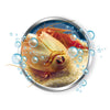 Clementoni-Wissenschaftsspiel: Züchten Sie Ihre eigenen Triops