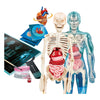 Clementoni Wissenschaft und Spiel – Superanatomie