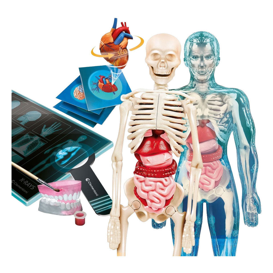 Clementoni Wissenschaft und Spiel – Superanatomie