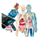 Clementoni Wissenschaft und Spiel – Superanatomie - afbeelding 3