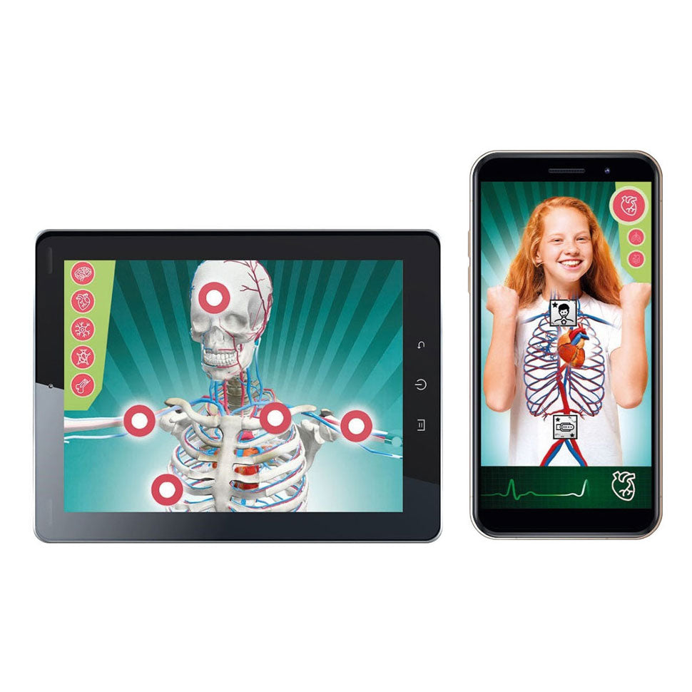 Clementoni Wissenschaft und Spiel – Superanatomie