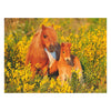 Ravensburger Shetland Ponys, 100.. Xxl