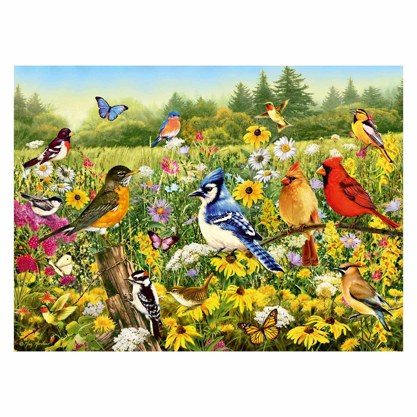 Ravensburger Vögel im Wiesenbein -Puzzle, 500st.
