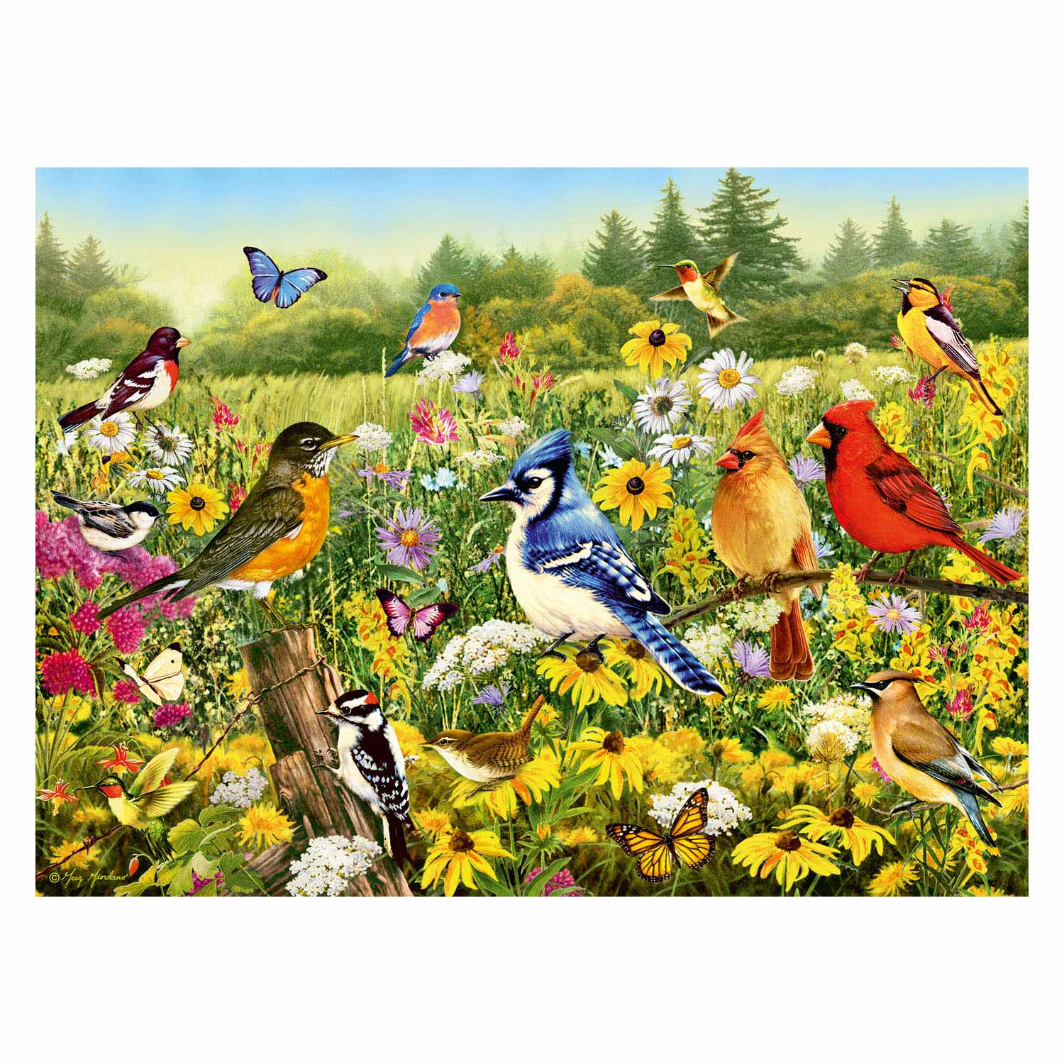 Ravensburger Vögel im Wiesenbein -Puzzle, 500st.