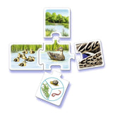 Ravensburger Tiptoi alle meine Tiere - afbeelding 2