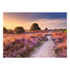 Ravensburger Puzzle rosa Weg – 1000 Teile.