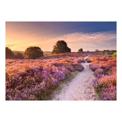 Ravensburger Puzzle rosa Weg – 1000 Teile.