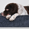 BIA -Bett Fleece -Hoes Hondmand Grey