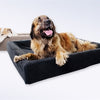 BIA -Bett Fleece -Hoes Hondmand Grey