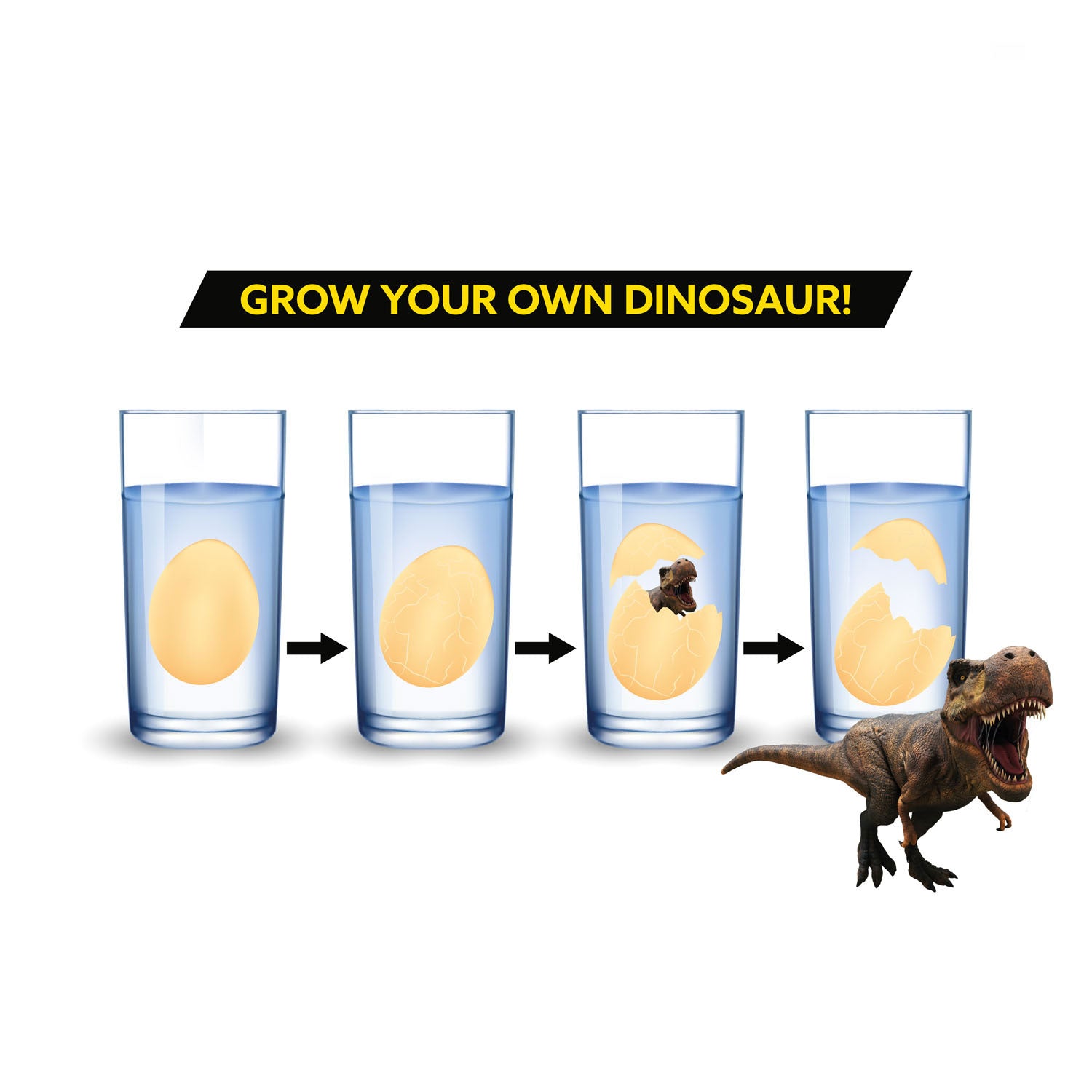 Toi-Toys Wachstums-Ei-Dinosaurus