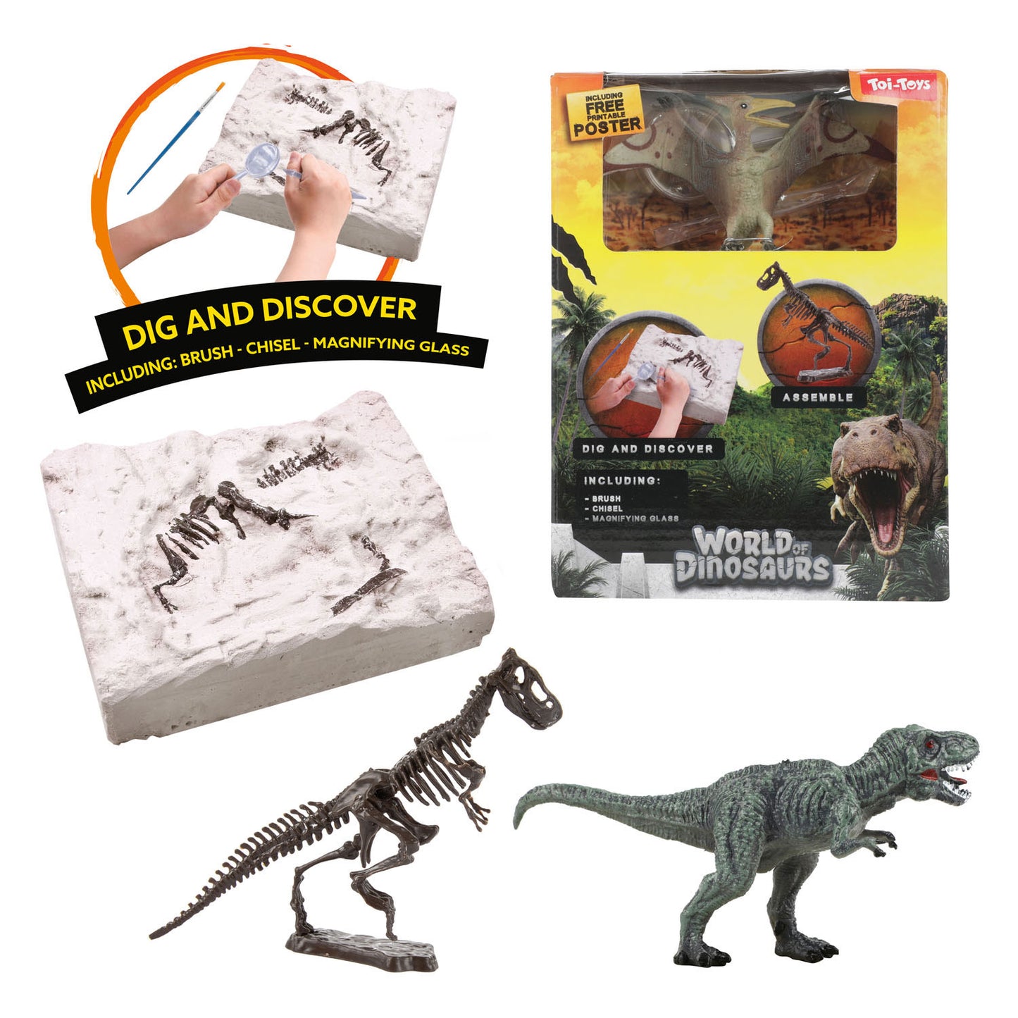 Welt der Dinosaurier aufstrebten Set 'Dino Fossil'