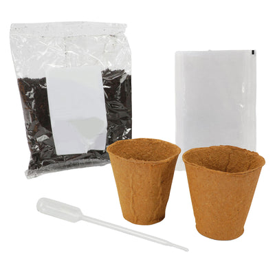 Kidscovery kidscovery experiment kräuter garten set s