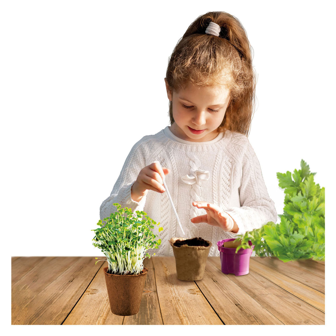 Kidscovery kidscovery experiment kräuter garten set s