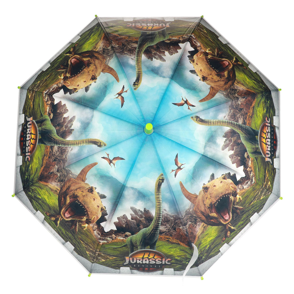 Welt der Dinosaurier Dino, 80 cm