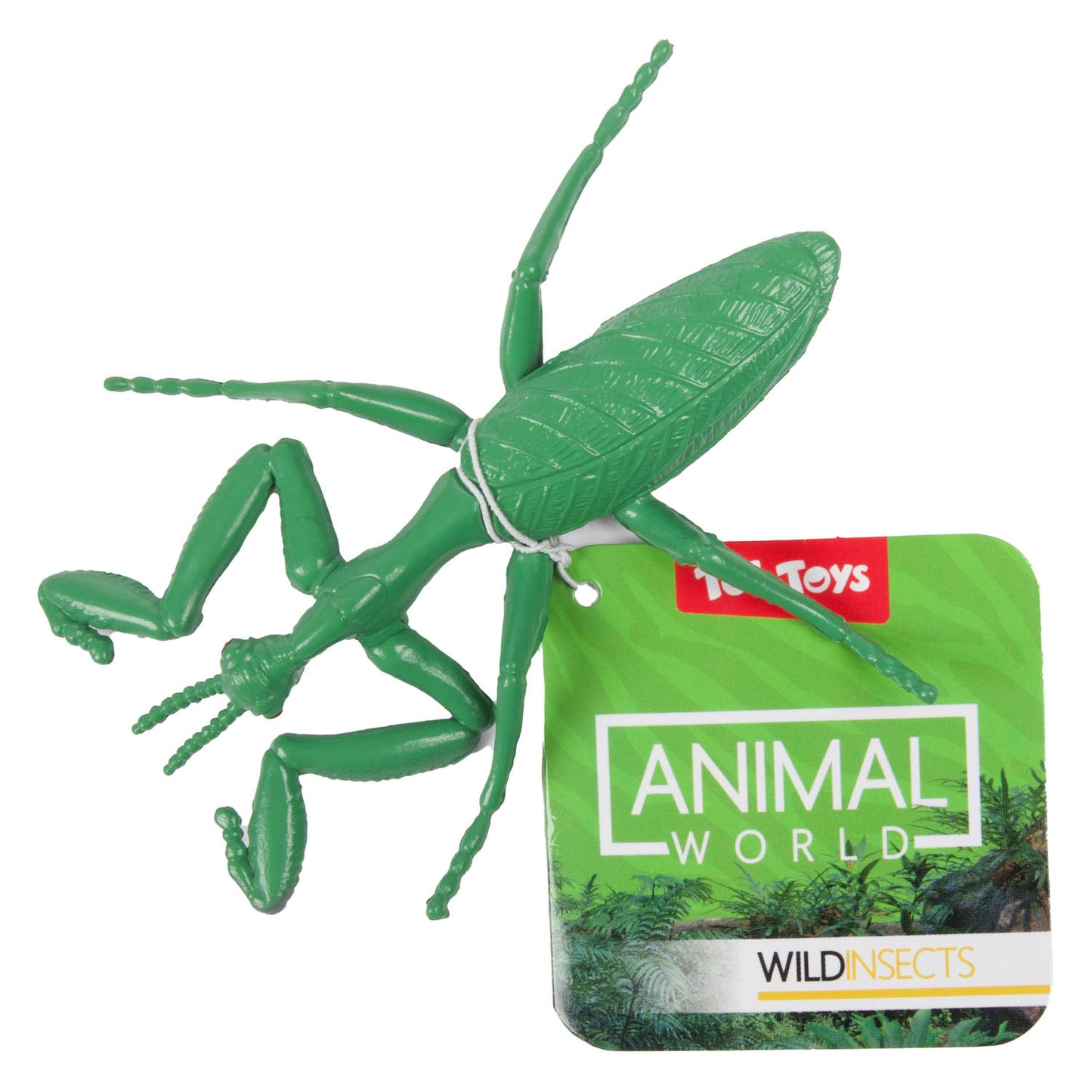 Toi-toys Tierwelt Große Crees Insekt