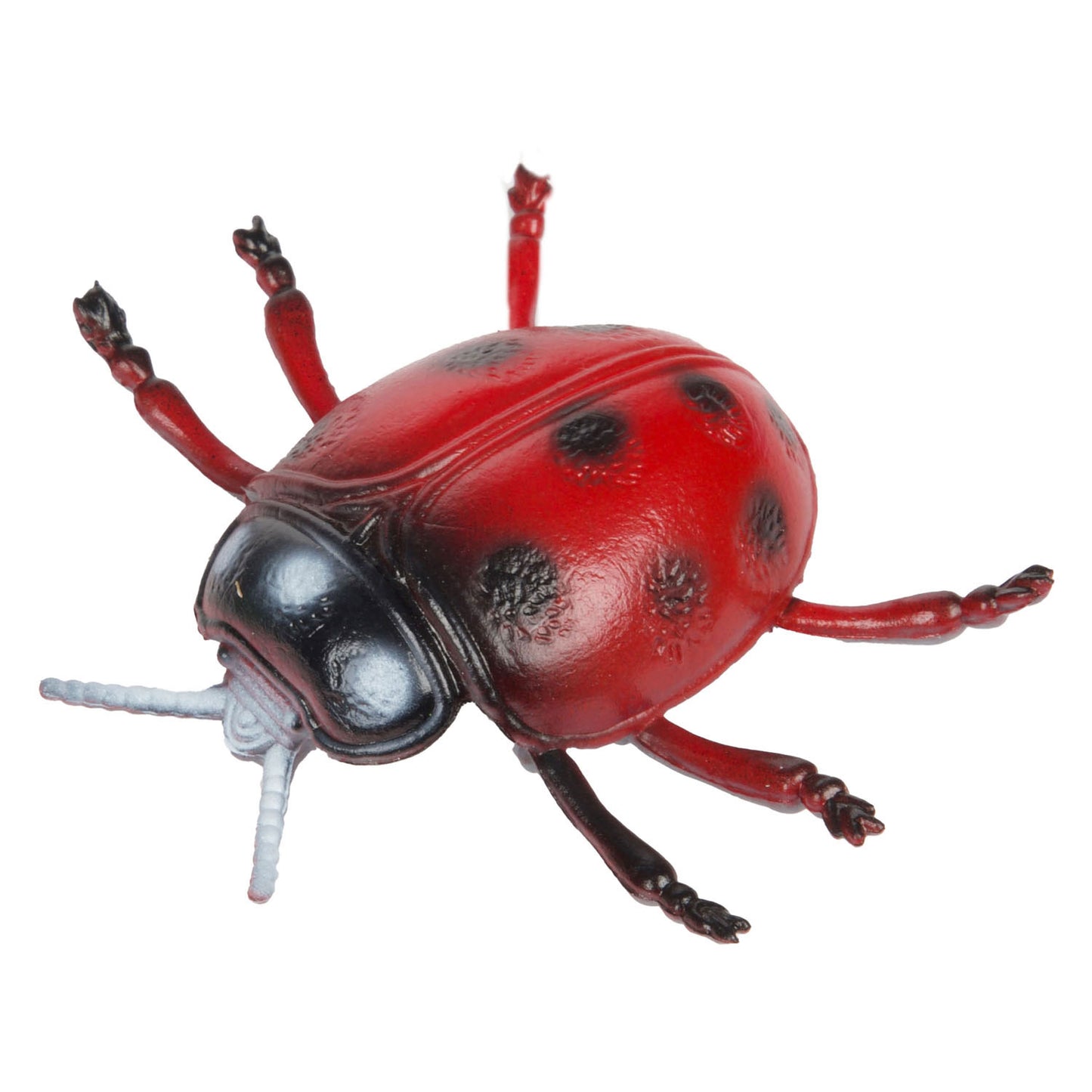 Toi-toys Tierwelt Große Crees Insekt