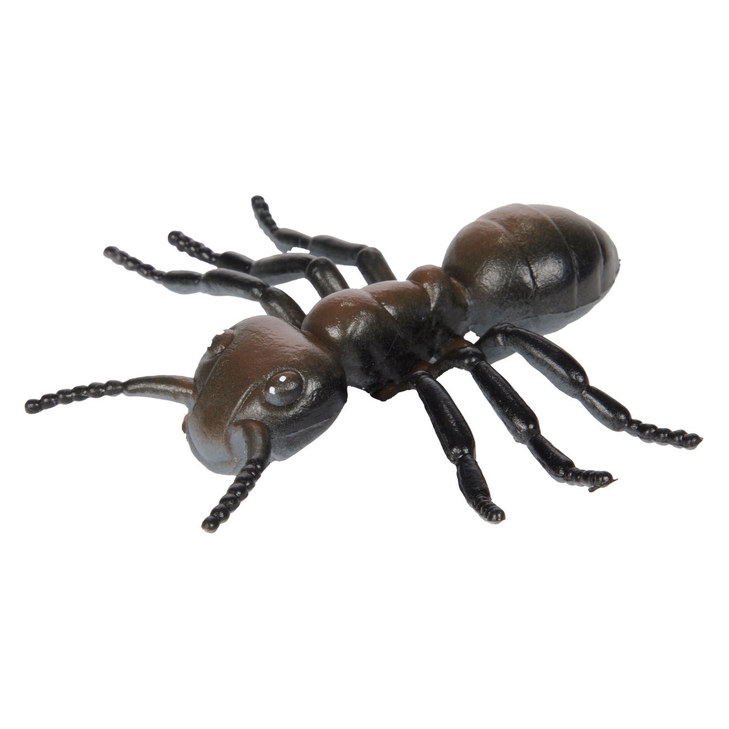 Toi-toys Tierwelt Große Crees Insekt
