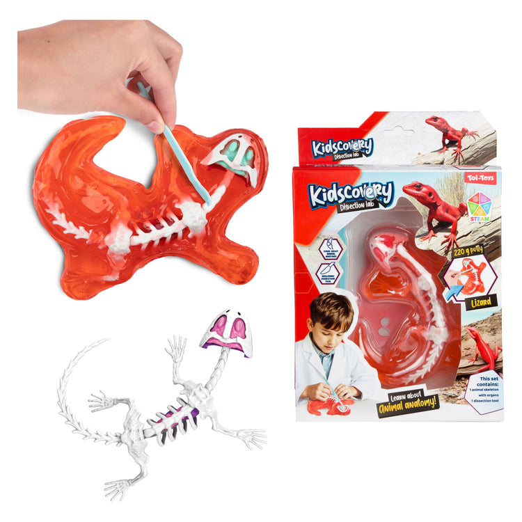 Toi-toys Schleim-Ausgrabungsset Tier mit Werkzeug