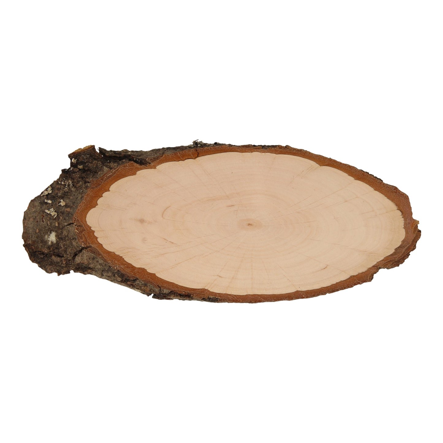 Machen Sie Ihre eigene Namensschildbärke, 25 cm