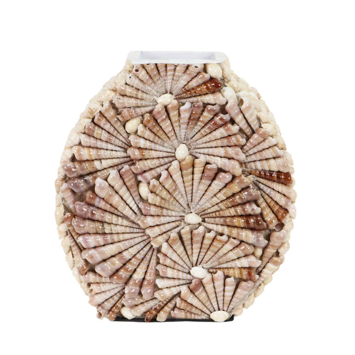 Mansion Atmosphäre Vase Bowman's Beach Muscheln 28x31cm