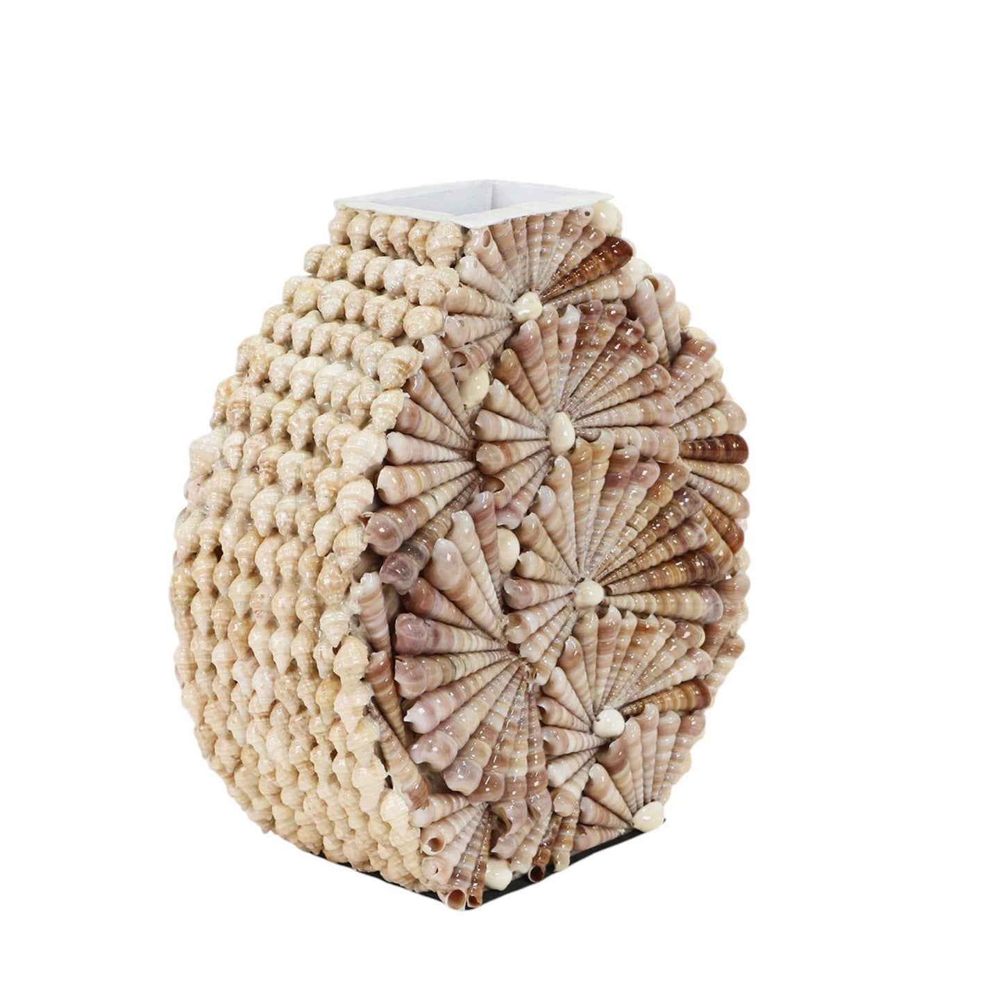 Mansion Atmosphäre Vase Bowman's Beach Muscheln 28x31cm