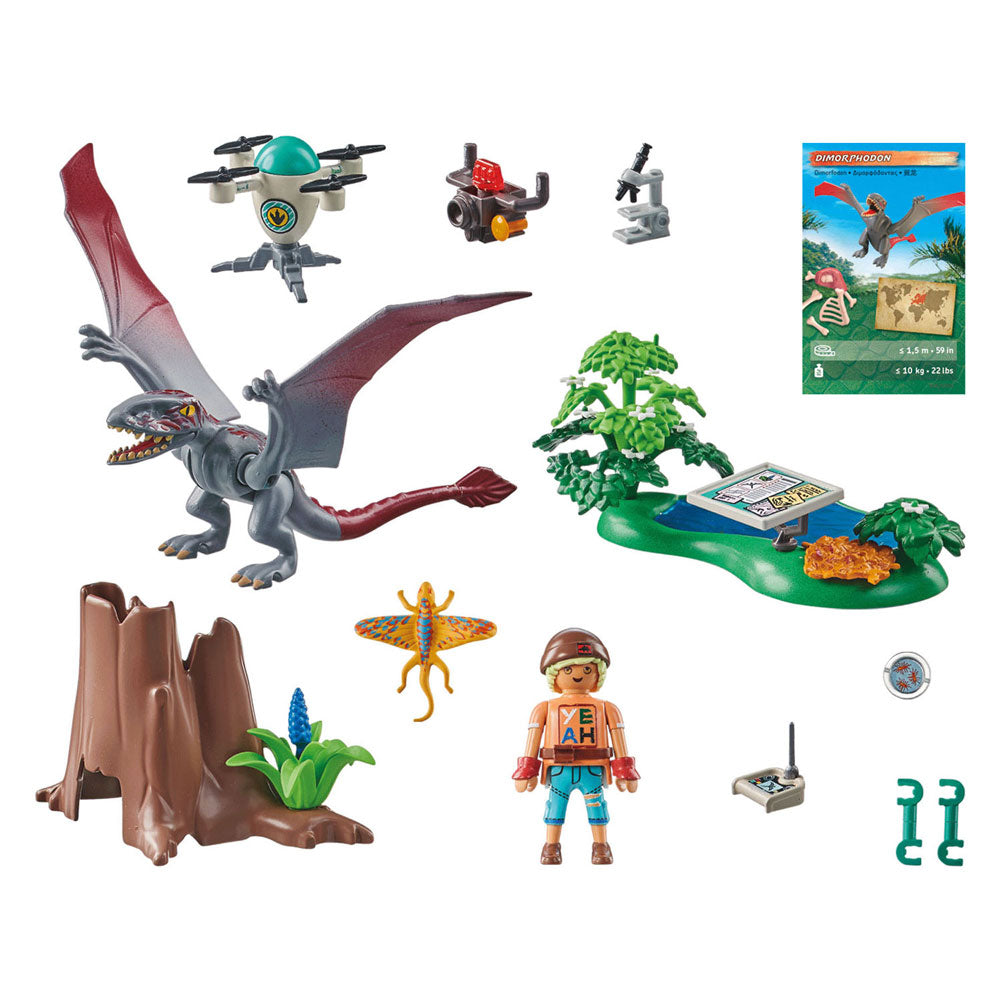 PLAYMOBIL DINOS Beobachtungsposten für Dimorphodon 71525