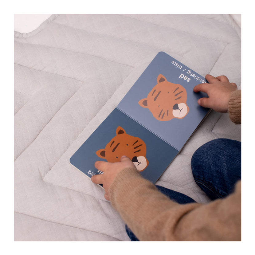 Trixie -Buch mit Widersprüchen