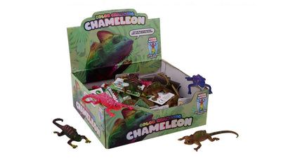 Farb -Changing -Chamäleon