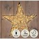 Anna's Collection Stern Metall 500LED Blitz IP44 Transformator mit Timer und Dimmer 56cm warmweiß klassisch warm