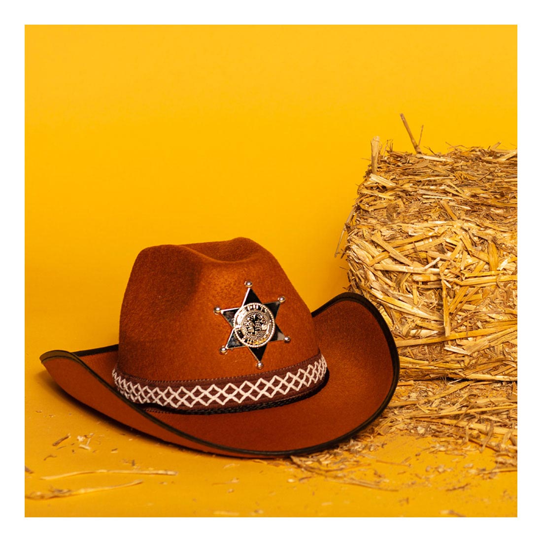 Boland Hut Sheriff Junior Brown