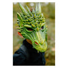 Tolle grüne Drachenmaske