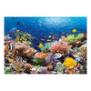 Selecta Castorland Puzzle Korallenrifffische, 1000 Teile.