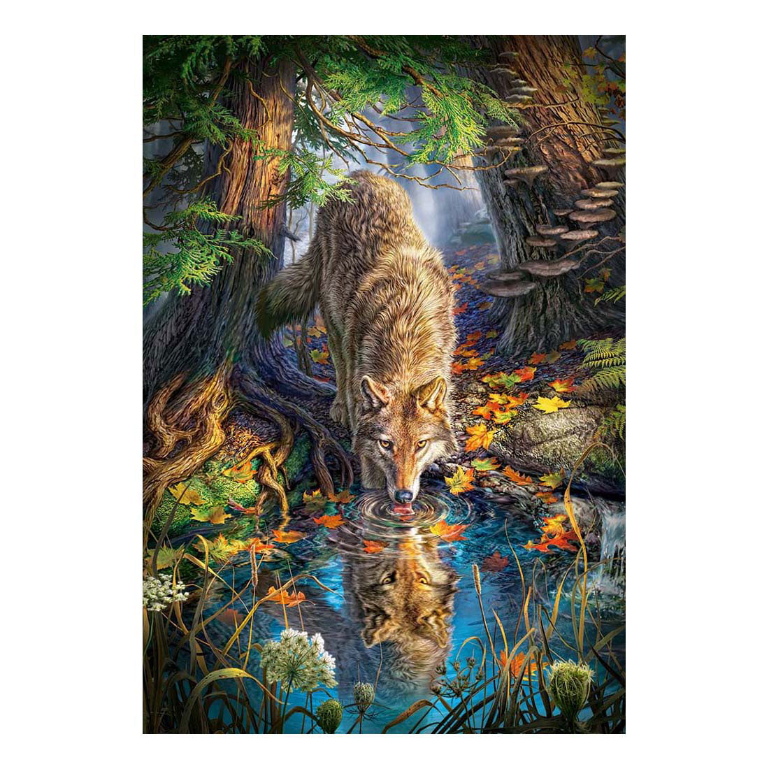 Selecta Castorland spielen Puzzle Wolf in freier Wildbahn, 1500st.