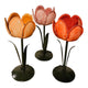 Mansion Atmosphäre Teelichthalter Tulpe Pastell 7,5x19cm