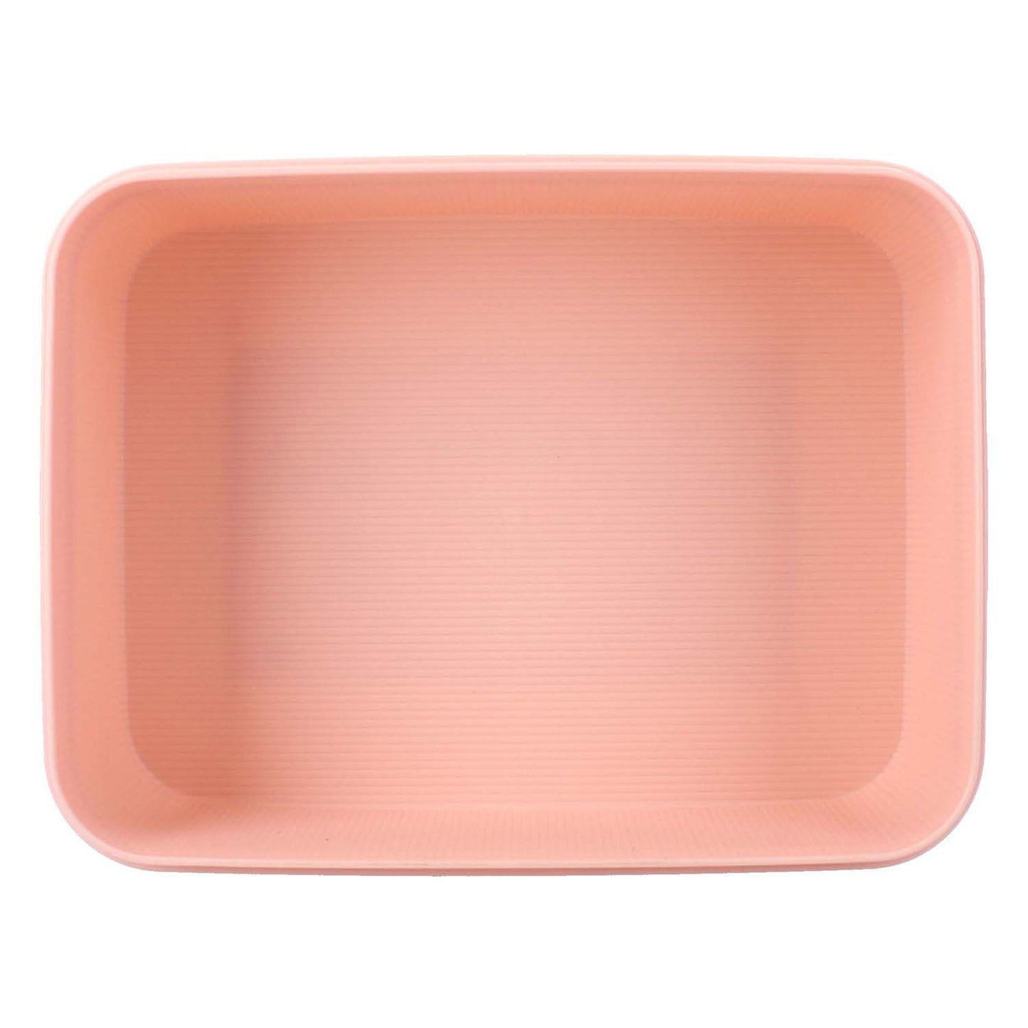 Vadobag gefrorene Lunchbox, lass uns essen!