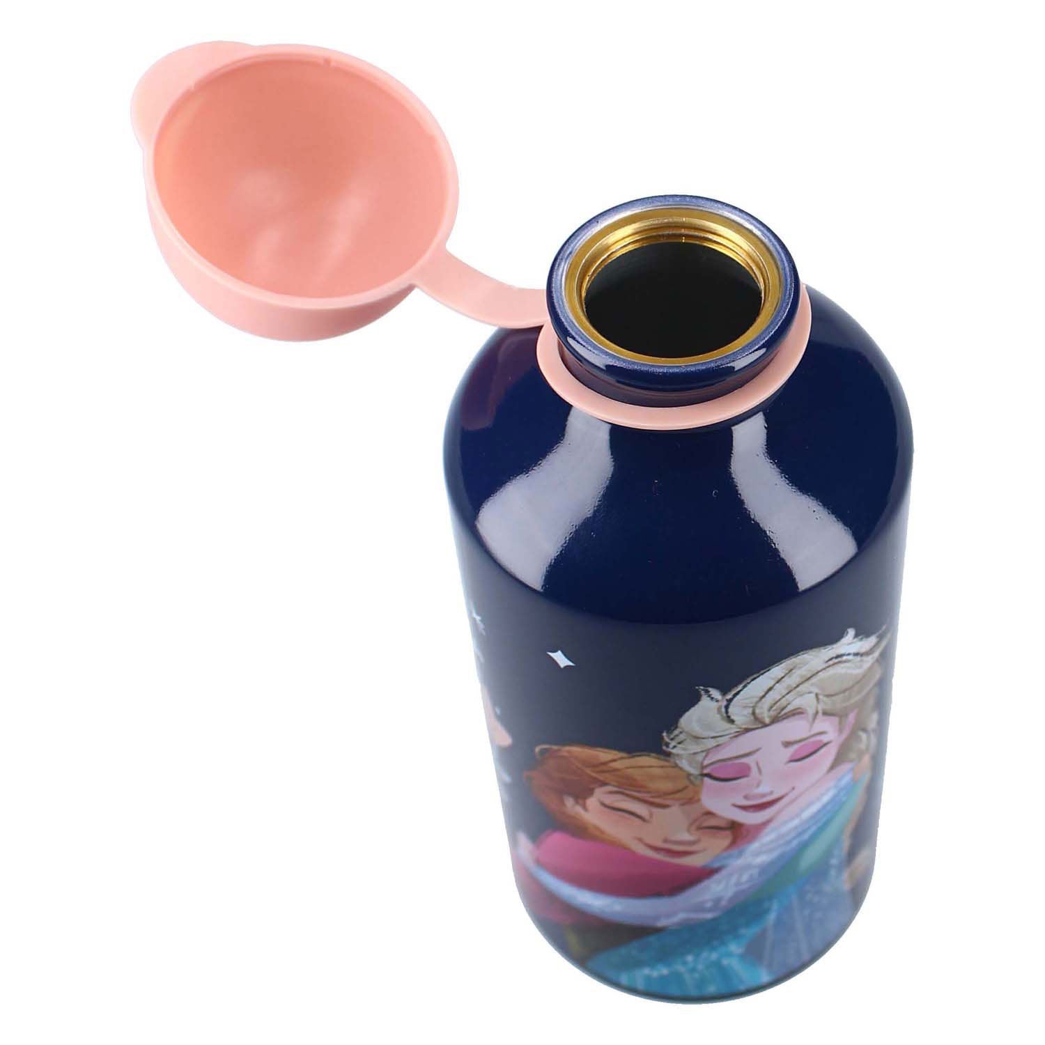 Vadobag Trinkflasche Frozen II richtig erfrischend – 500ml