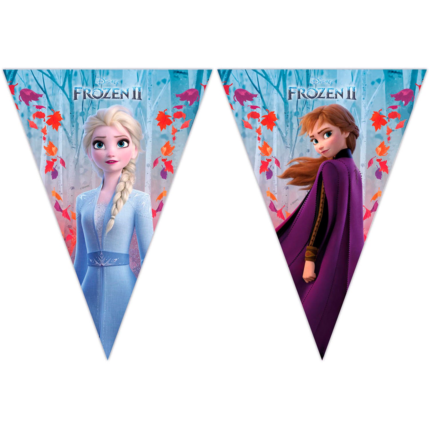 Disney Frozen 2 Flag -Linie, 2mtr.