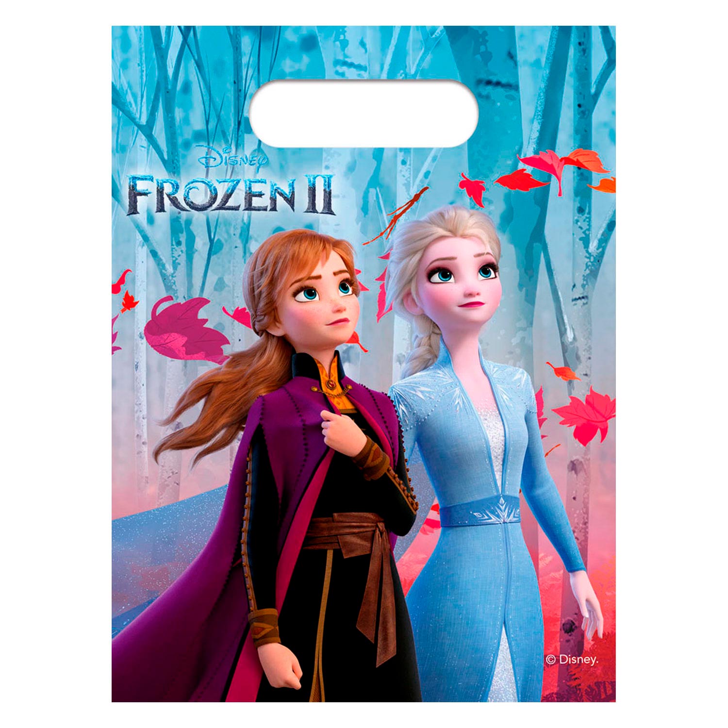 Disney Frozen 2 Divisions Bags, 6st.