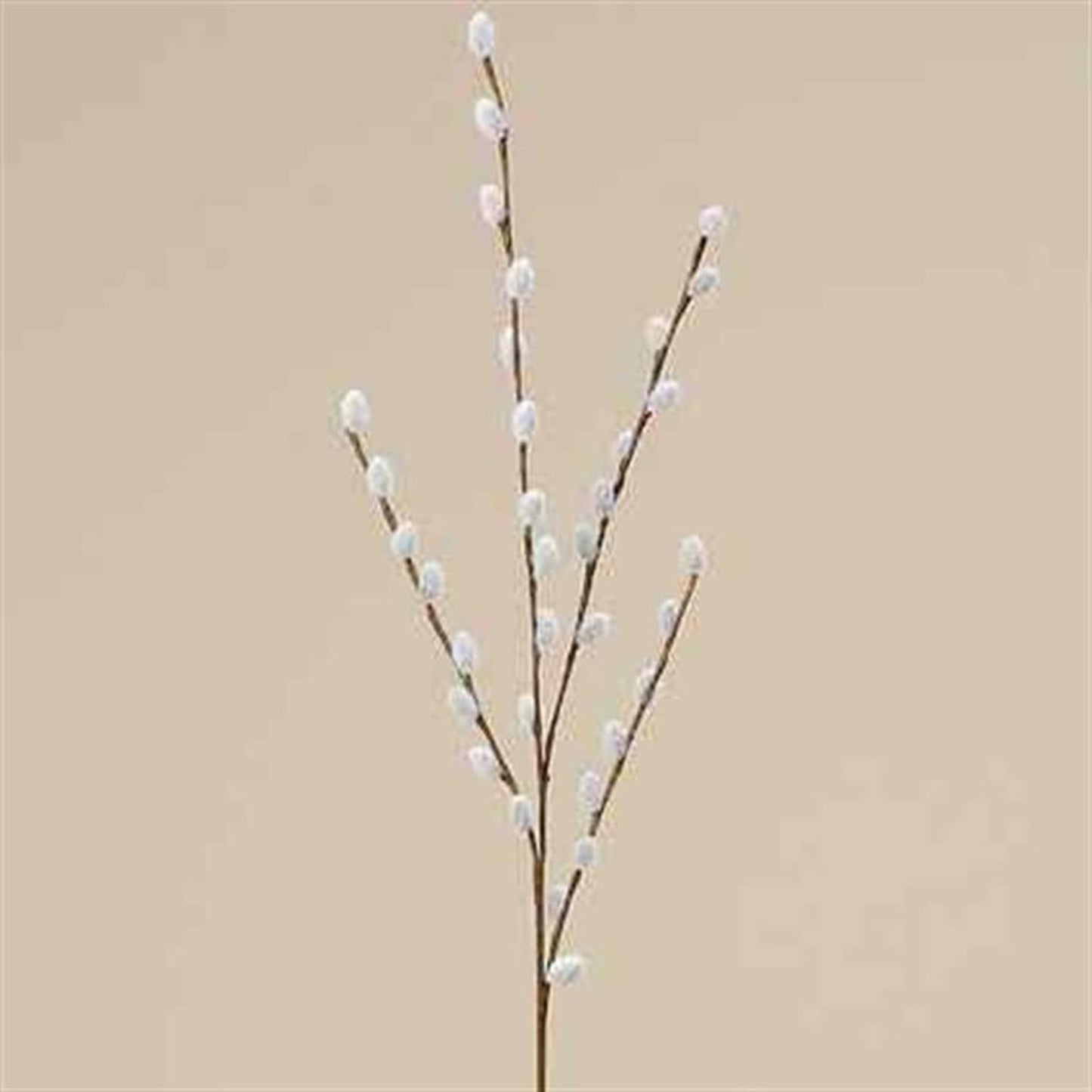 Boltze Home Dekozweig Weidenkätzchen 75cm