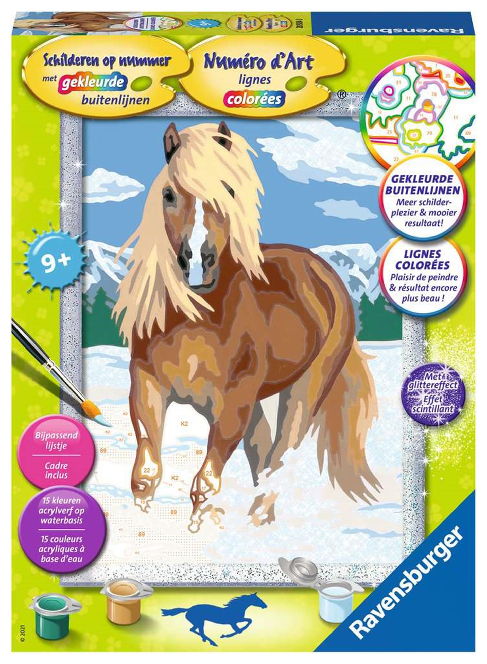 Malen nach Zahlen - Pferd im Schnee