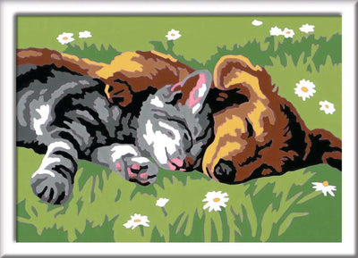 Ravensburger Kreart Gemälde auf Nummer schlafende Katzen und Hunde