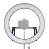 Falcon Eyes zweifarbige LED-Ringlampe dimmbar DVR-512DVC auf 230 V