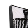 Falcon Eyes Softbox + Honeycomb RX-SB48HC für LED RX-48TDX