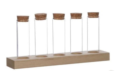 Ideen 4 Jahreszeiten Holzhalter mit 5 Reagenzgläsern mit Korkstopfen ã˜3x10cm
