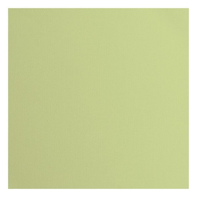 Florence • Kartonpapier 216g, Struktur 30,5x30,5cm, Anis 20x
