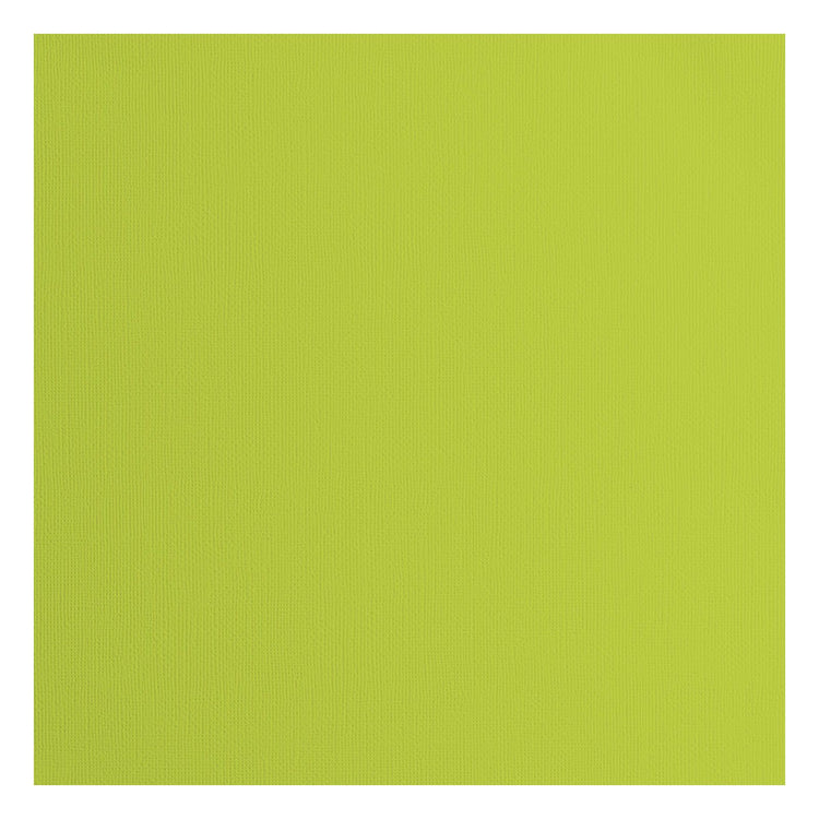 Florenz • Kartonpapier 216 g, Struktur 30,5 x 30,5 cm, Limettengrün, 20 x